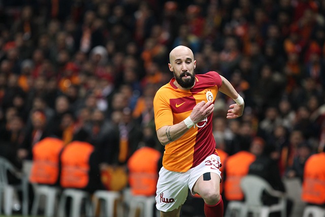 得了多粒进 得了多粒进